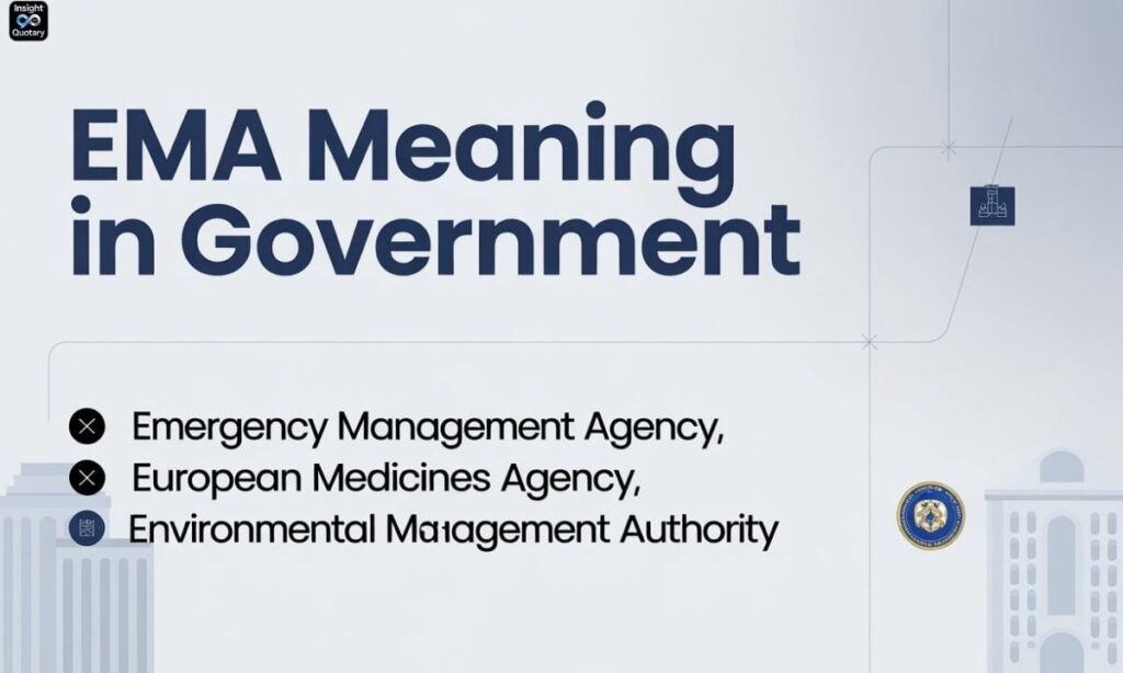 ema-meaning-in-government