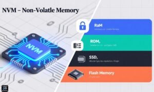 What Does NVM Mean in Text? Full Guide to Its Meaning, Usage & Origin
